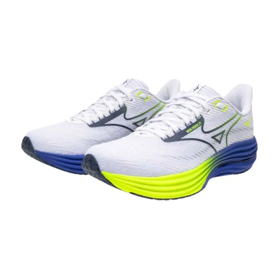 MIZUNO Wave Rider 29 M