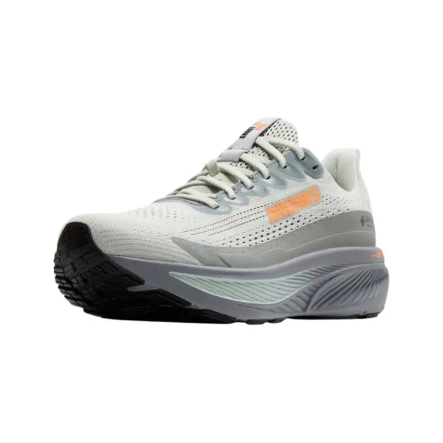 BROOKS Ghost GTX 17 M