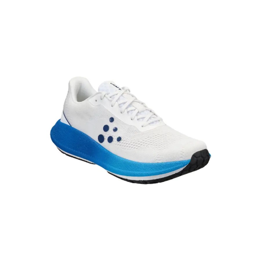 CRAFT Pacer 2 M