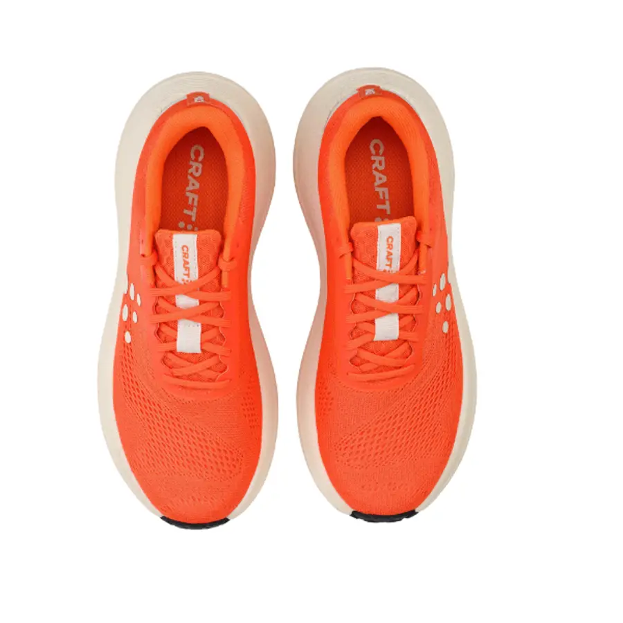 CRAFT Pacer 2 M